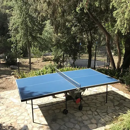 Villa Pesciolina San Gregorio (Sardinia)